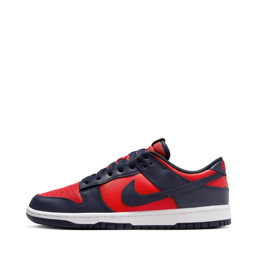 Nike Dunk Low QS CO.JP City Attack